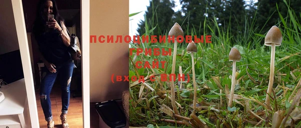 Альфа ПВП Дмитриев