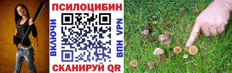 Купить  Спасск-Рязанский  Галлюциногенные грибы мицелий 